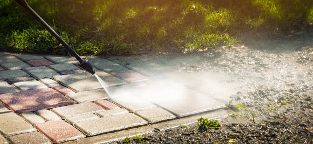 Best House Exterior Washing  in Louisburg, KS