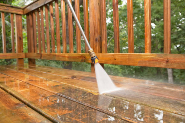 Best Driveway Pressure Washing  in Louisburg, KS
